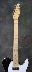 2010-ESP-USA-Telecaster-Ron-Wood-Black