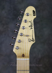 2010-ESP-USA-Telecaster-Ron-Wood-Black