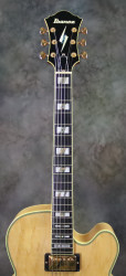 2014-Ibanez-PM-200-NT-Natural-Sitka