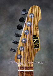 2016-ESP-USA-TE-II-Exotic-Zebra-Wood