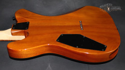 2016-ESP-USA-TE-II-Exotic-Zebra-Wood