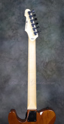 2016-ESP-USA-TE-II-Exotic-Zebra-Wood