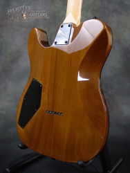 2016-ESP-USA-TE-II-Exotic-Zebra-Wood