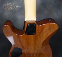 2016-ESP-USA-TE-II-Exotic-Zebra-Wood