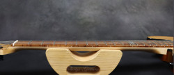 2016-ESP-USA-TE-II-Exotic-Zebra-Wood