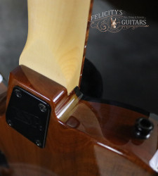 2016-ESP-USA-TE-II-Exotic-Zebra-Wood
