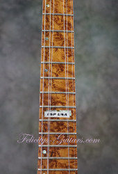 2016-ESP-USA-TE-II-Exotic-Zebra-Wood