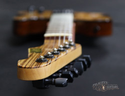 2016-ESP-USA-TE-II-Exotic-Zebra-Wood