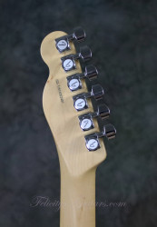 2016-Fender-Tele-American-Elite-Thinline-Natural