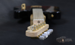 2016-Fender-Telecaster-Burton-Red-Paisy-Flame